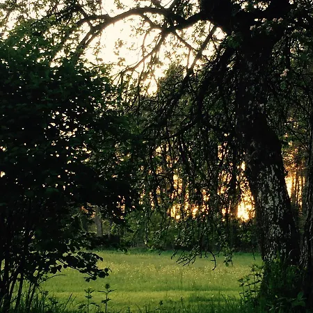 Grimm's Waldhaeuschen * Mudau