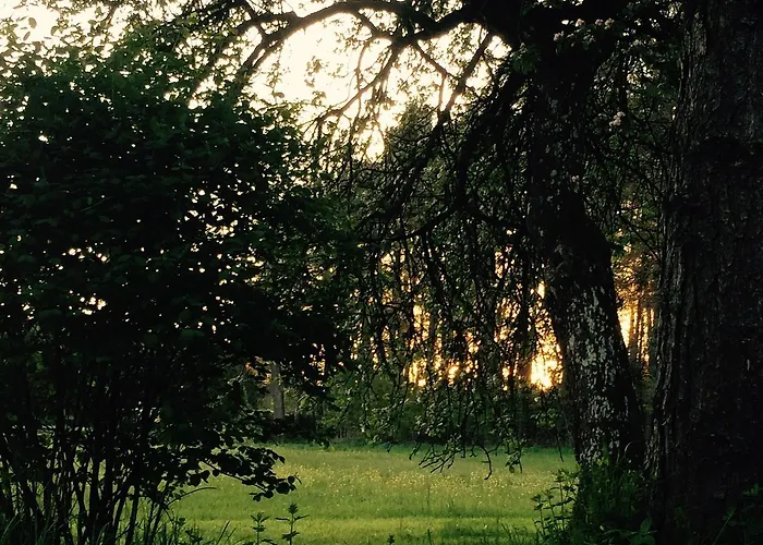 Grimm's Waldhaeuschen * Mudau